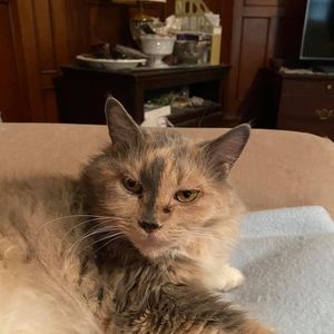 Meet your Posher, Christine